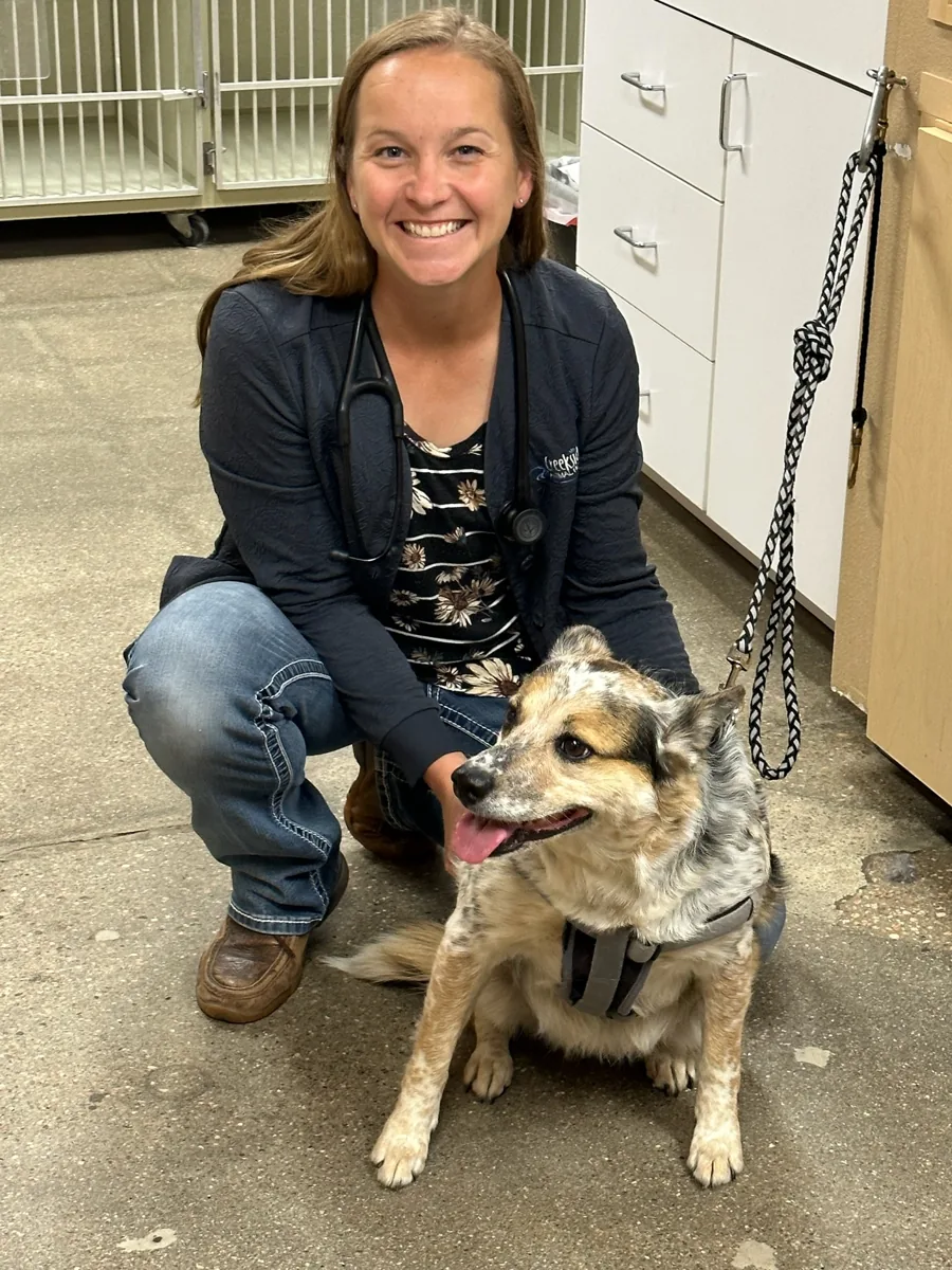 Dr. Jennifer Elliott, Veterinarian