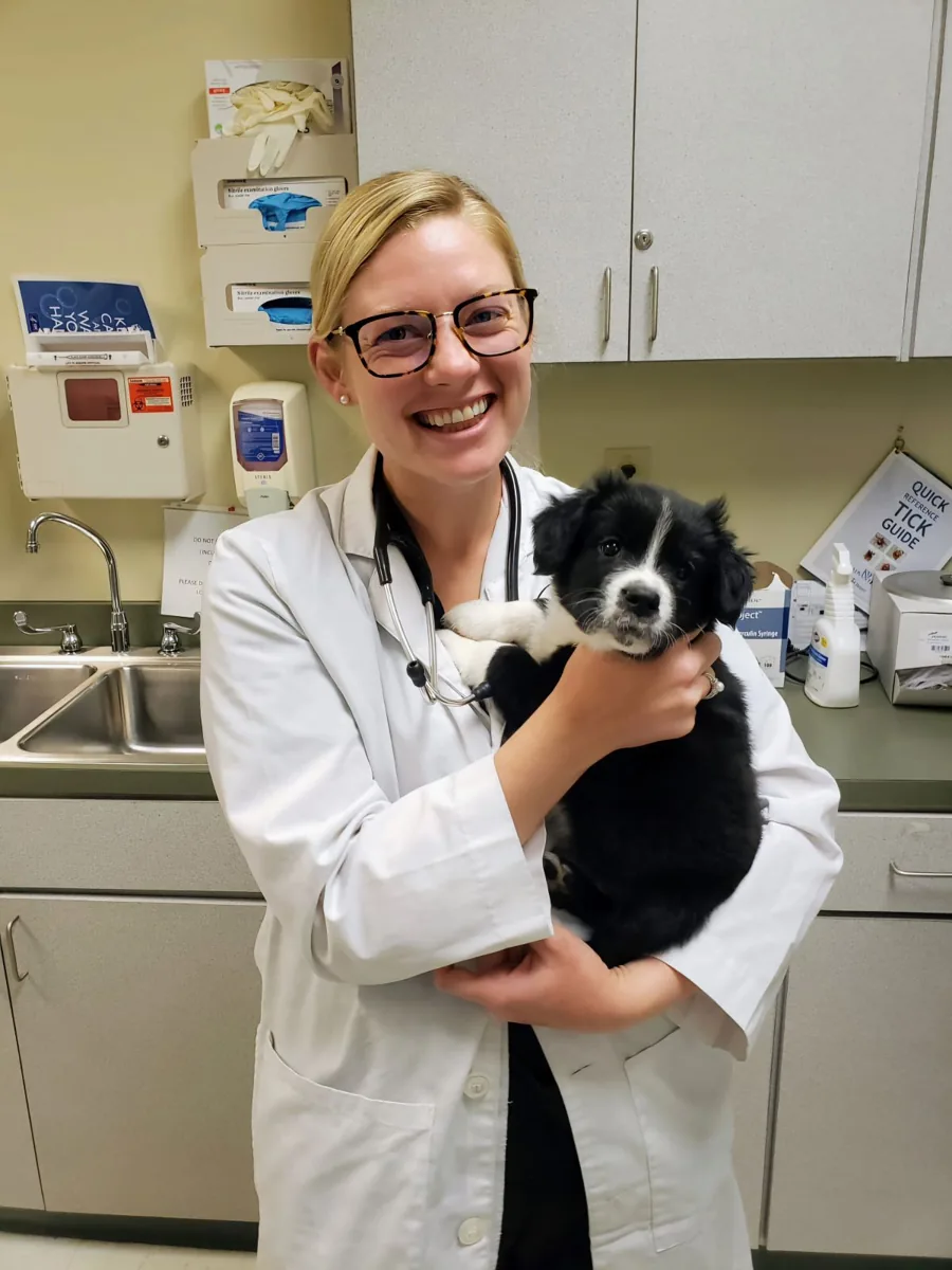 Dr. McKenzie Johnson, Veterinarian