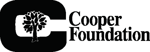 Bronze Sponsor